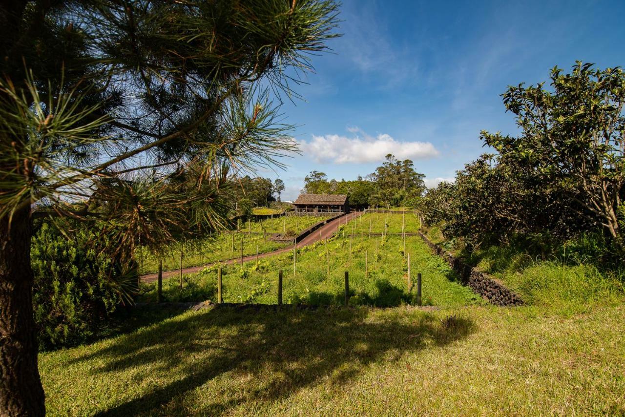 Pedreira Da Guia Vila Lagoa  Exterior foto